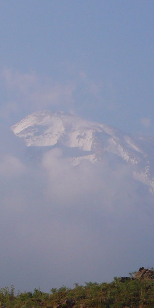 P1140917